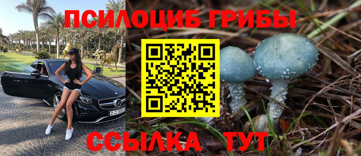 Галлюциногенные грибы GOLDEN TEACHER  Галлюциногенные грибы мицелий  Чистополь  Вход с VPN 